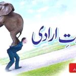 قوتِ ارادی