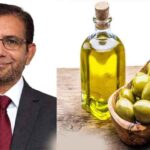 زیتون: قرآن کی روشنی اور جدید سائنس