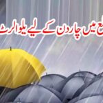 ناندیڑ ضلع میں چار دن کے لیے یلو الرٹ جاری