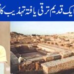 ہڑپہ تہذیب: ایک قدیم ترقی یافتہ تہذیب کا مفصل مطالعہ