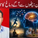 کریٹین: پٹھوں سے آگے دماغ کا محافظ