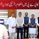 عاپ ارکانِ راجیہ سبھا کا بی جے پی میں انضمام: آئینی جواز یا جمہوری اقدار کا امتحان؟