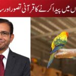 ہر چیز کو جوڑوں میں پیدا کرنے کا قرآنی تصور اور سائنسی حقیقت