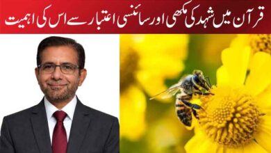 قرآن میں شہد کی مکھی اور سائنسی اعتبار سے اس کی اہمیت
