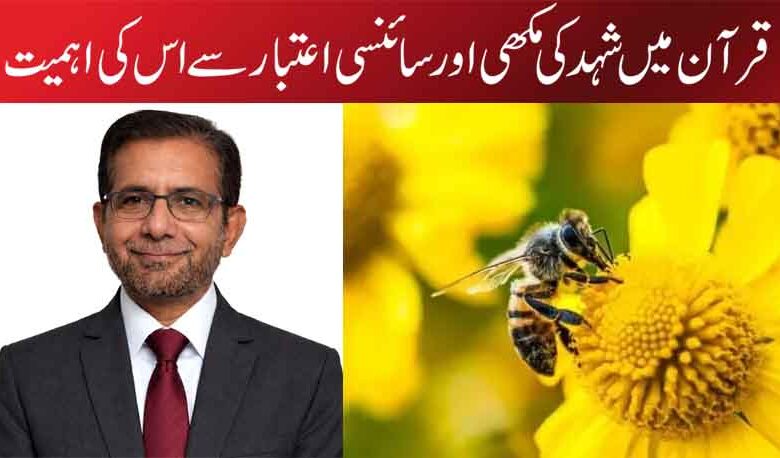 قرآن میں شہد کی مکھی اور سائنسی اعتبار سے اس کی اہمیت
