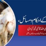 قربانی کے فضائل ومسائل