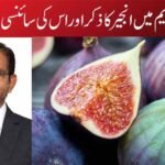 قرآنِ کریم میں انجیر کا ذکر اور اس کی سائنسی افادیت