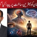 انسان کو بہترین ساخت پر پیدا کیا گیا