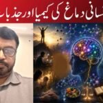 انسانی دماغ کی کیمیا اور جذبات