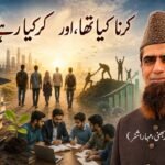 کرنا کیا تھا، اور کر کیا رہے ہیں؟