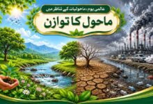 عالمی یوم۔ماحولیات کے تناظر میں ماحول کا توازن