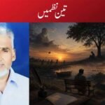 تین نظمیں