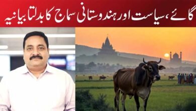 گائے، سیاست اور ہندوستانی سماج کا بدلتا بیانیہ
