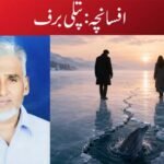 افسانچہ:پتلی برف