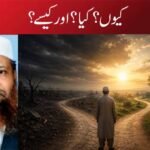 کیوں؟ کیا؟ اور کیسے؟