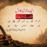ایک طرحی کاوش