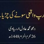 کیا یورپ واقعی سونے کی چڑیا ہے؟