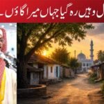 دل وہیں رہ گیا جہاں میرا گاؤں ہے