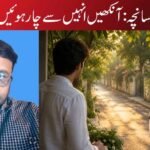 افسانچہ:آنکھیں انہیں سے چار ہوئیں