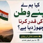 کیا ہم نے اپنے وطن کی قدر کرنا چھوڑ دیا ہے؟