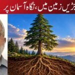 جڑیں زمین میں، نگاہ آسمان پر