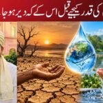 پانی کی قدر کیجیے قبل اس کے کہ دیر ہو جائے